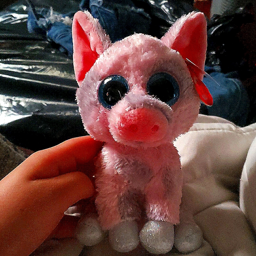 Beanie boo